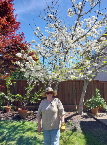 Robin spent a happy afternoon planting and feeding.