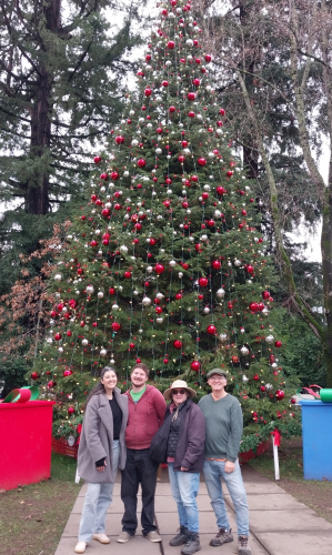 Before Tammy and Andrew headed back home after Christmas, we strolled around Healdsburg Plaza, which was all decked out.