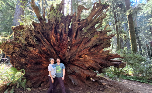 Tammy and Andrew ran some marathon prep in Jedediah Smith Redwoods State Park after performing in Crescent City. Here