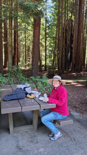 We stopped at the Trinidad Rest Area - one of the best rest stop on any highway anywhere.