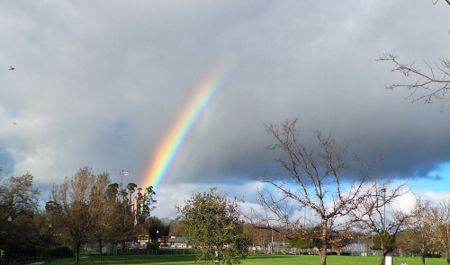 We saw a very bright rainbow over the park today.