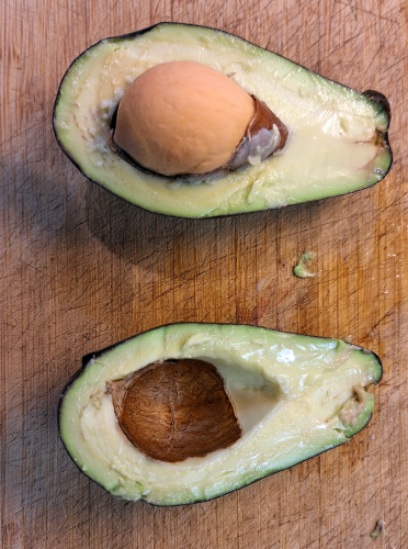 We finally ate our precious home-grown avocado.  It was perfect.